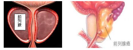 d26f19273b9ddc74aeaacb0e248f5ffb.jpg 0.jpg