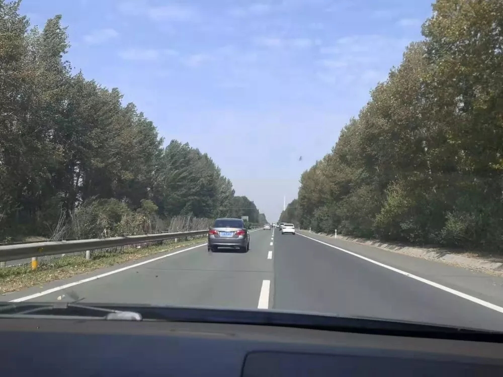 4aaea095bacc2759233f2bcc219ce7d1.jpg 640.webp (1).jpg