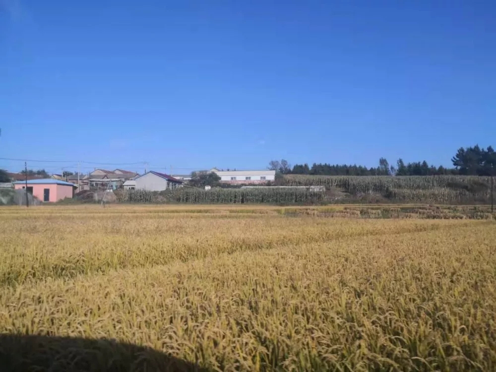 7e46e36619dafe026b9f42df44f0ea8f.jpg 640.webp (11).jpg