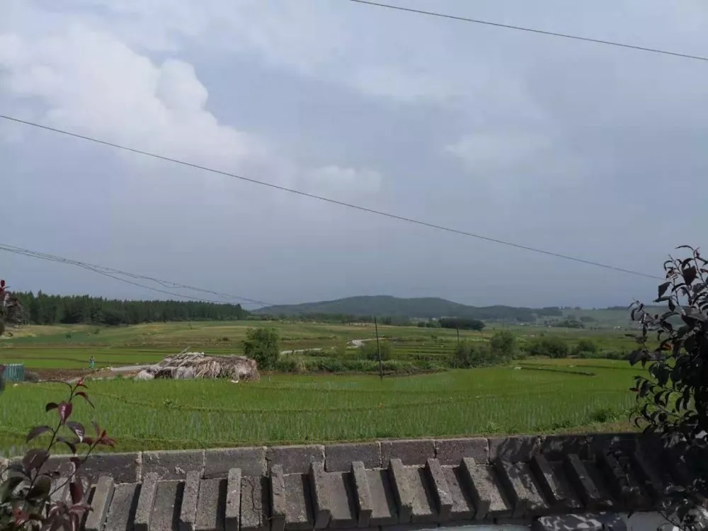 c777522b68928befbfc5564889743946.jpg 640.webp (9).jpg