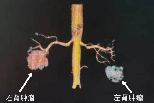 2cdeeb58f507cbda9cd9cd4b34d463f5.jpg 1.jpg