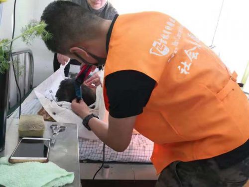 QQ图片20190311100719